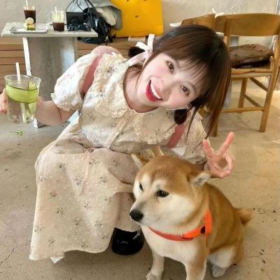 革命往事