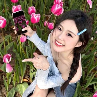 戴洛奇小镇第一季